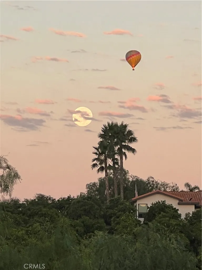 Views of Hot Air Balloons