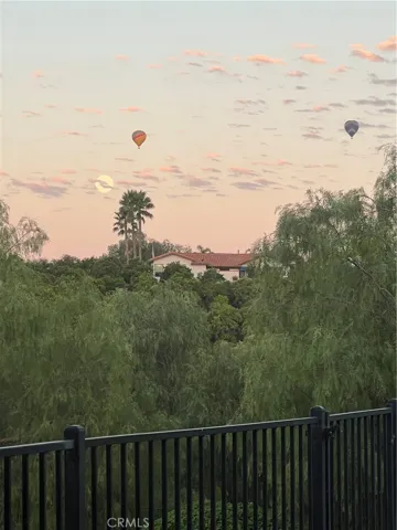 Views of Hot Air Balloons