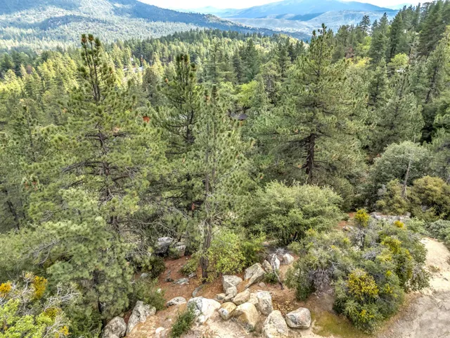 DJI_20260401151512_0221_D