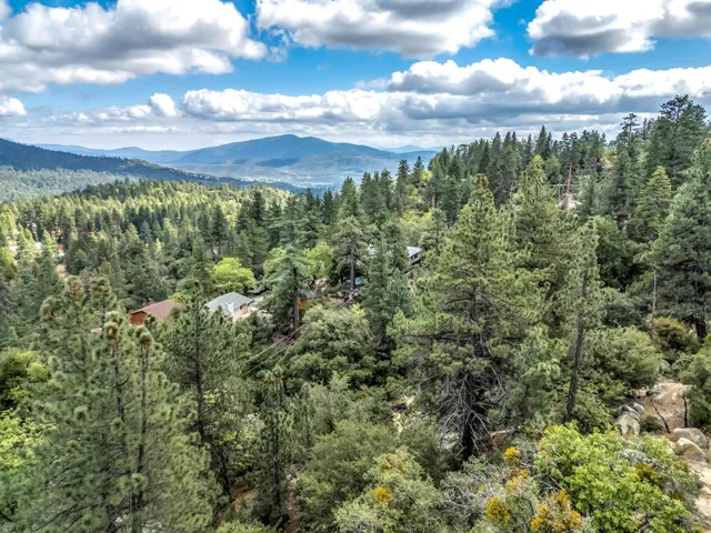 DJI_20260401151529_0226_D