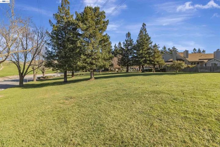 Large Green Pasture