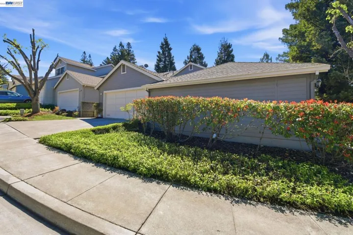 Curb View