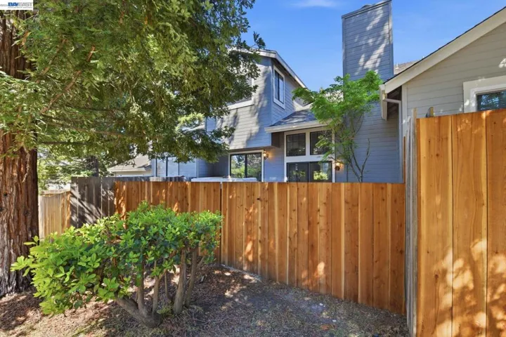 View of Path behind House Fences
