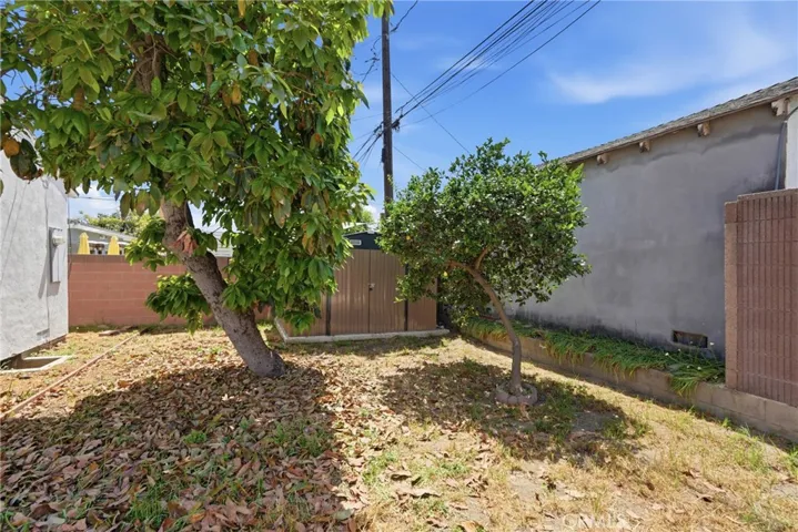 Mature avocado and lemon trees in the backyard offer fresh, homegrown fruit right at your fingertips.
