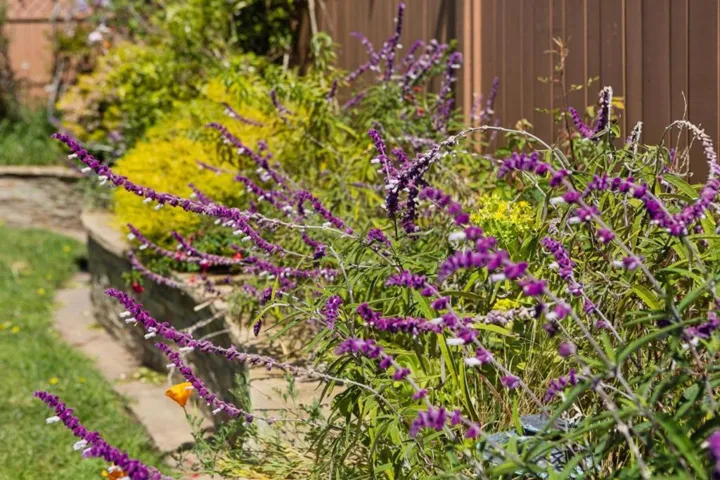 735 Montezuma Drive, Pacifica, California 94044