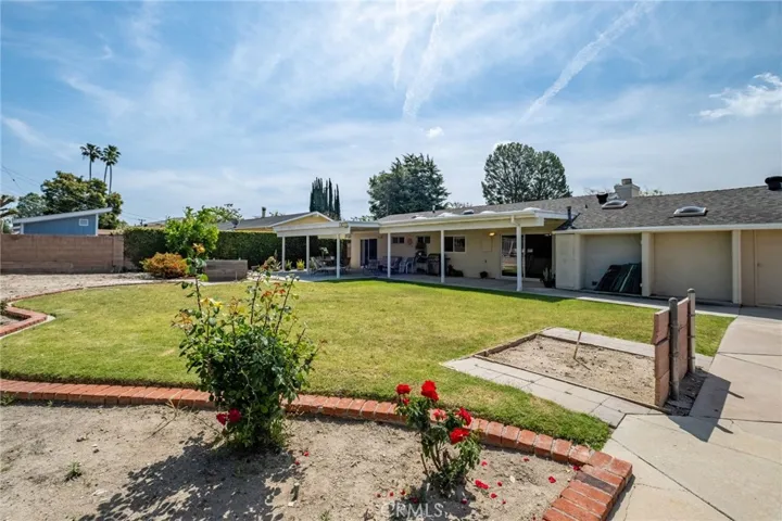 wide open back yard
