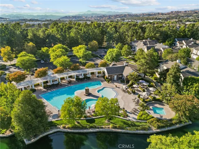 Overhead view of community