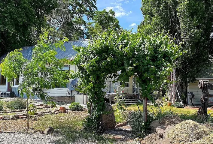arbor in garden