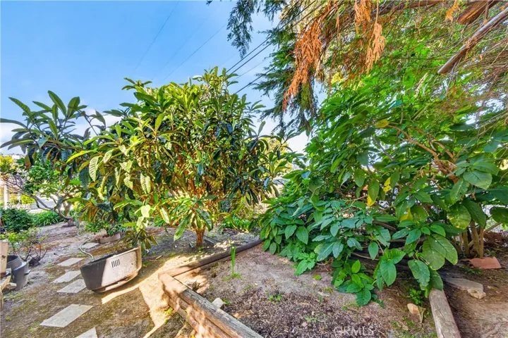 Unused city Adjacent lot being used by owner for gardening with fruit trees-orange, peach, grapefruit and lemon