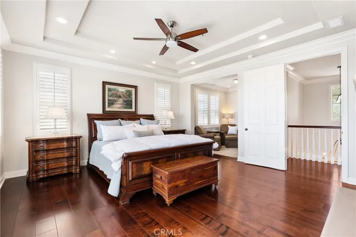 Elegant tray ceilings