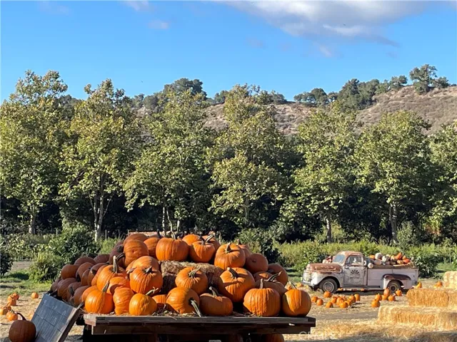 12mins to Avila Valley Barn