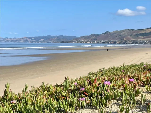 917 Printz, Arroyo Grande, California 93420