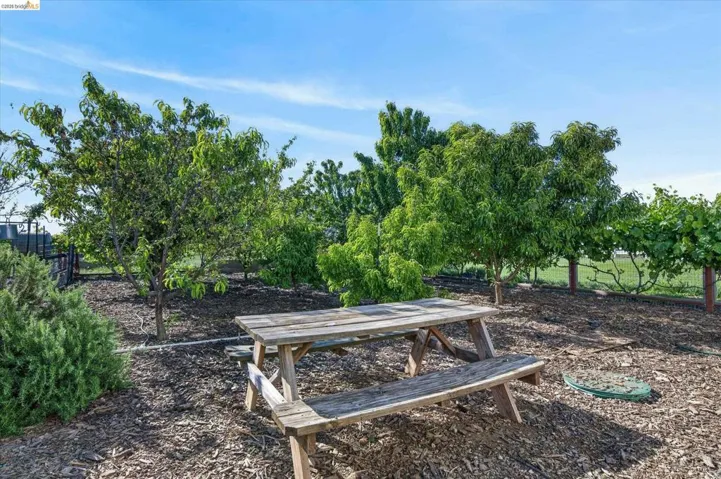 View of home's fruit trees on side yard