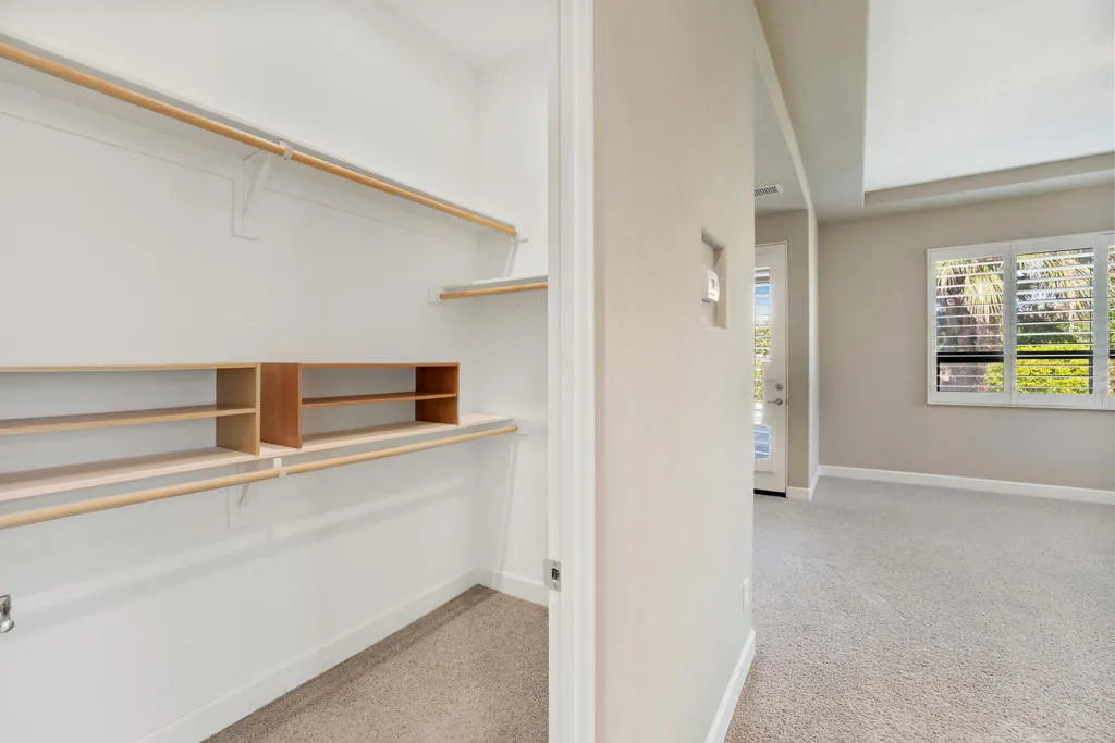 Master Closet 1