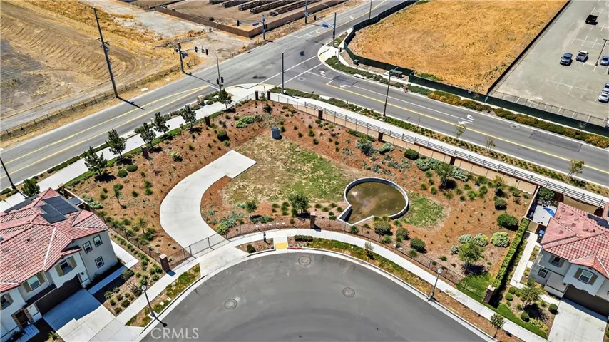 Dog Park