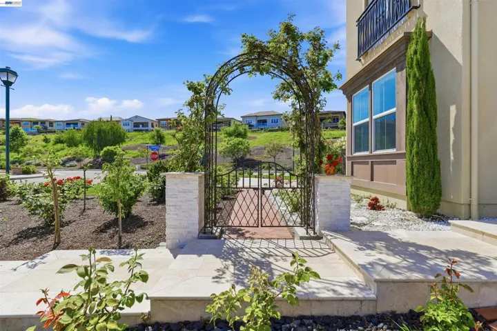 Front Yard
