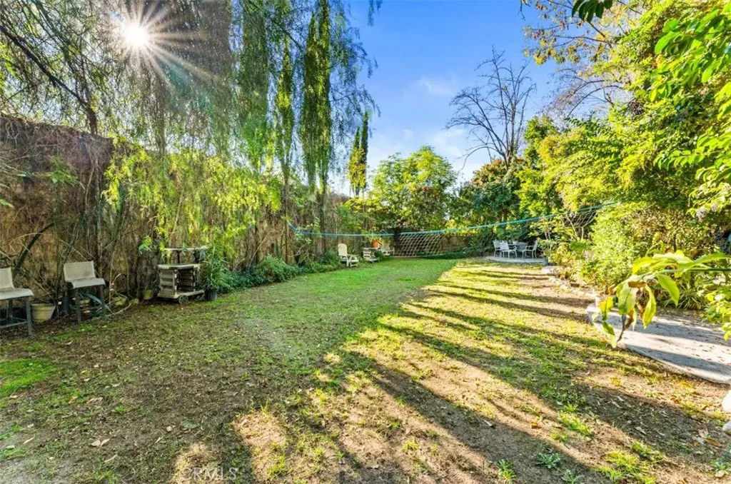 Another area in back yard.  So much space