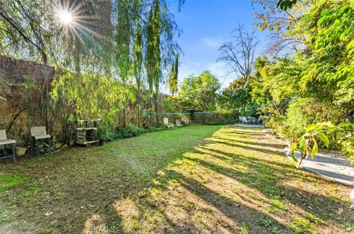 Another area in back yard.  So much space