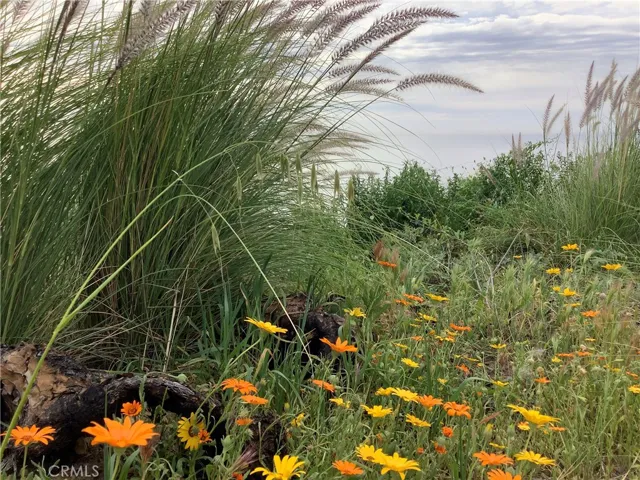 Close up view on the lot