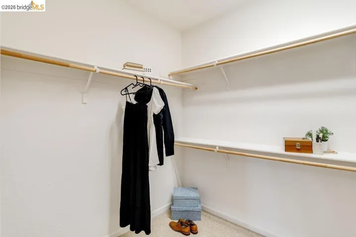 Walk in closet with light colored carpet