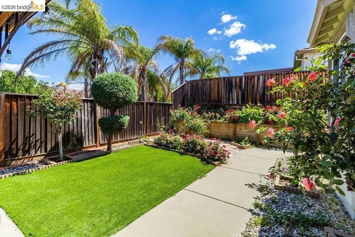 View of fenced backyard