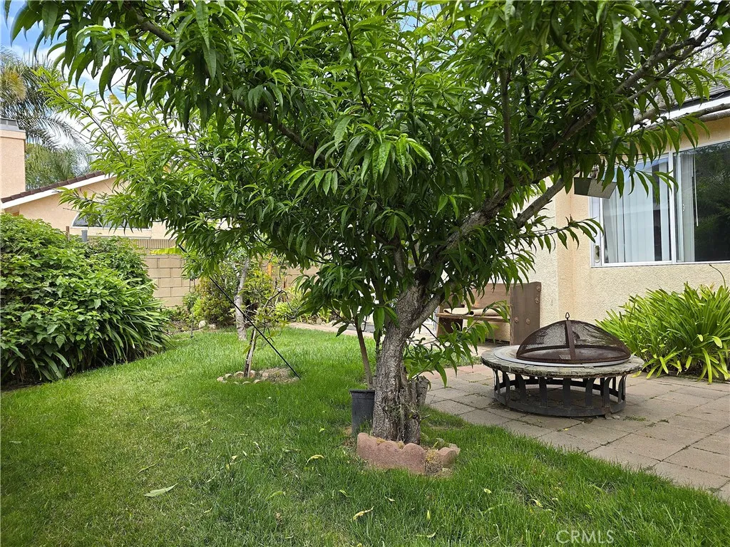 A private backyard retreat featuring mature fruit-bearing landscaping—an ideal blend of low maintenance living and garden enjoyment rarely found in gated communities at this price point.