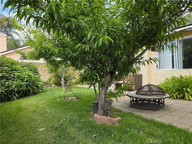 A private backyard retreat featuring mature fruit-bearing landscaping—an ideal blend of low maintenance living and garden enjoyment rarely found in gated communities at this price point.