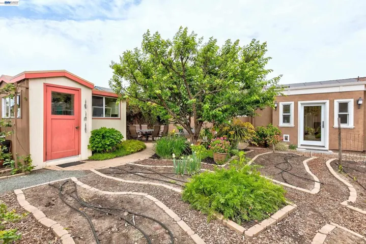 South Facing Backyard