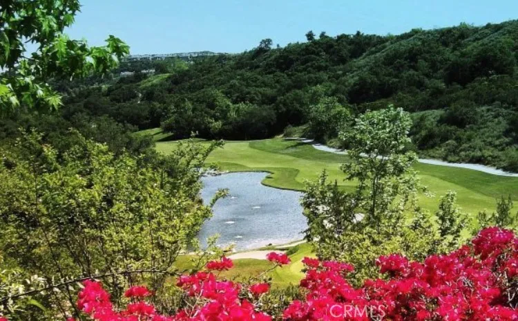 Dove Canyon Golf course view