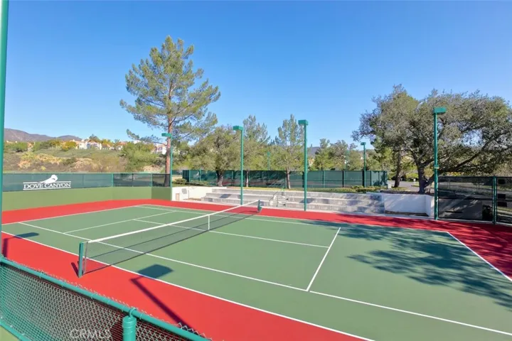 Tennis anyone?