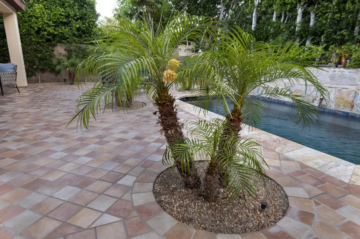 60755 Living  Stone Dr-12