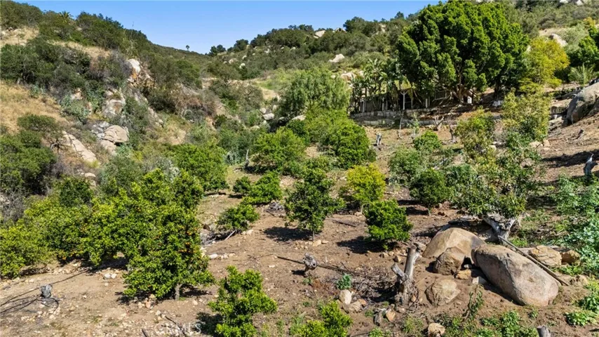 Low Groves