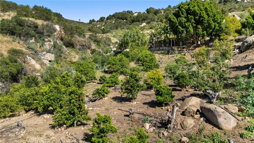 Low Groves