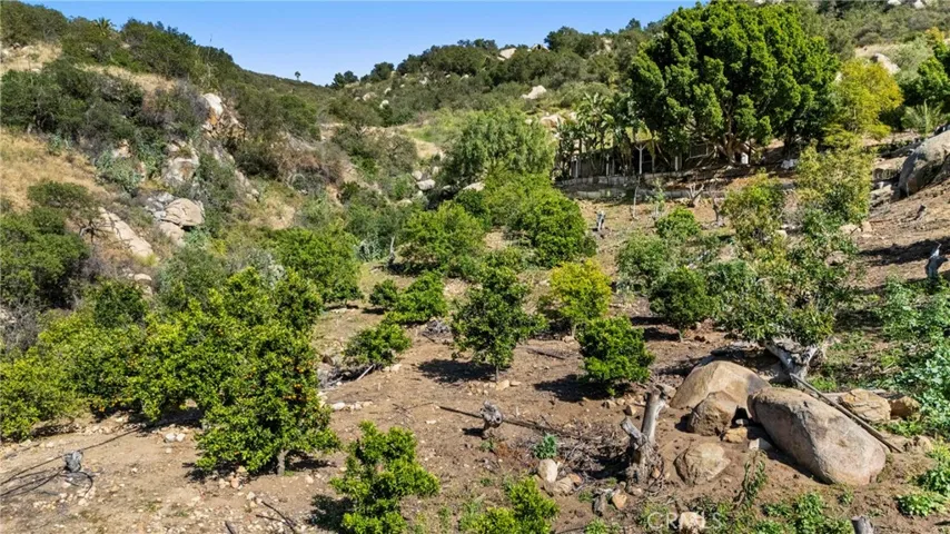 Low groves