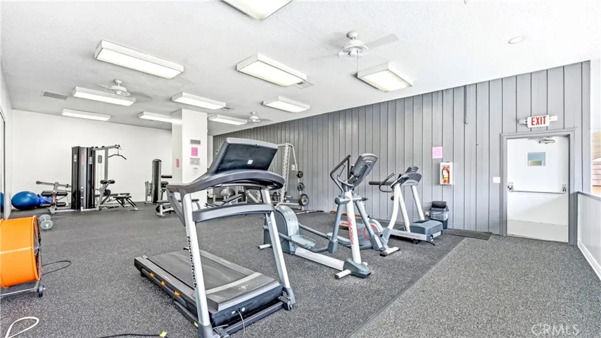 Main Gym
