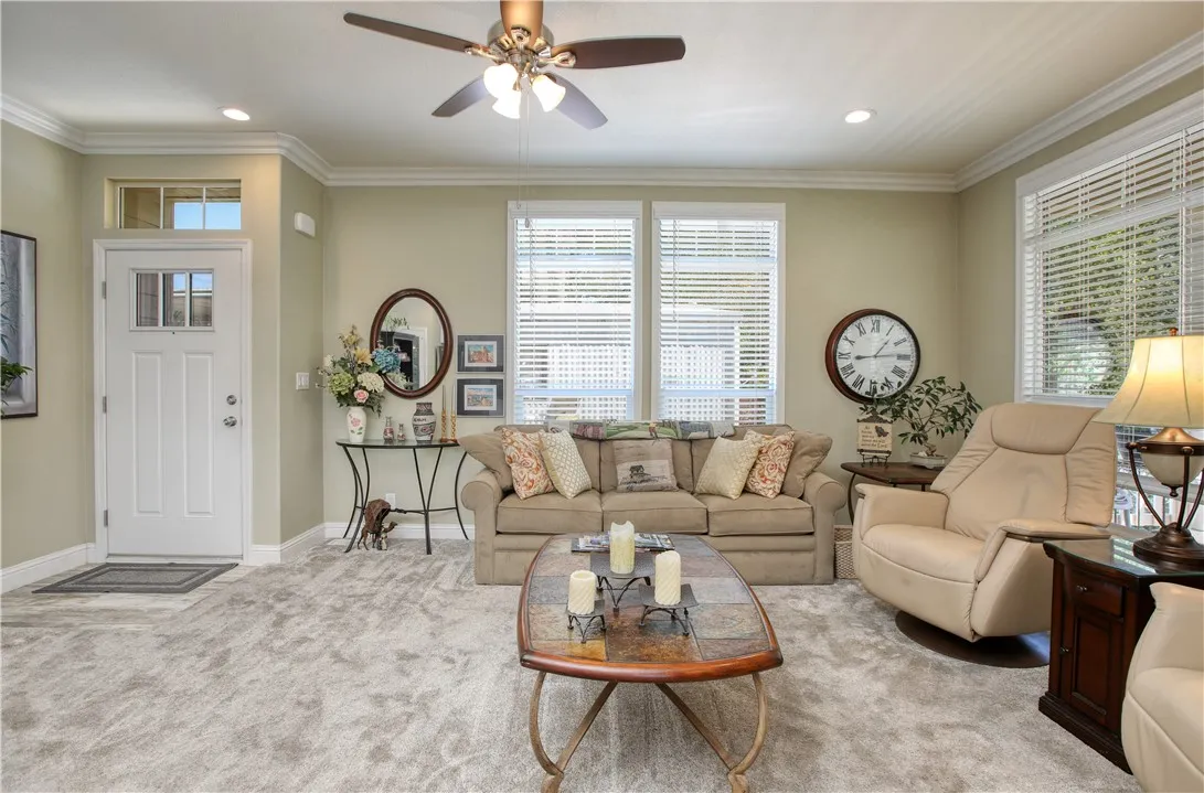Light filled living room with luxurious carpet.