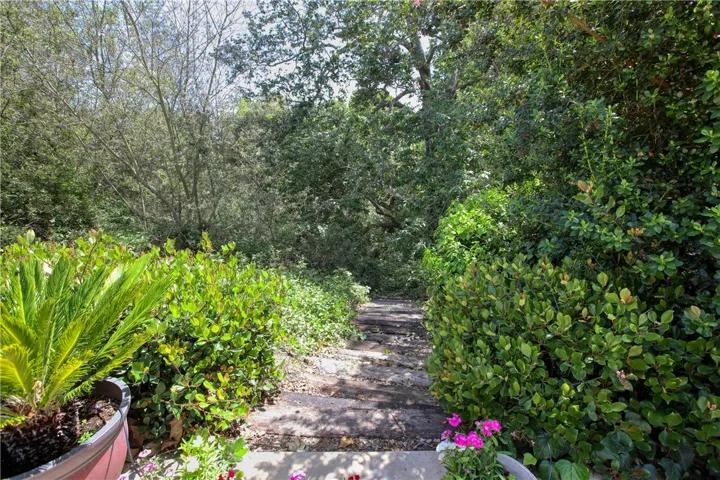 Walkway to Creek