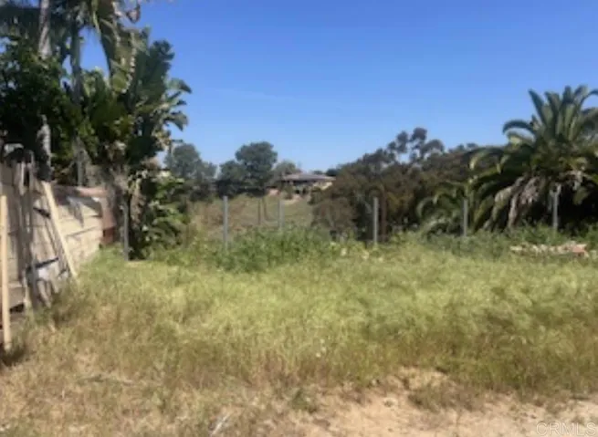 Back yard looking to canyon view