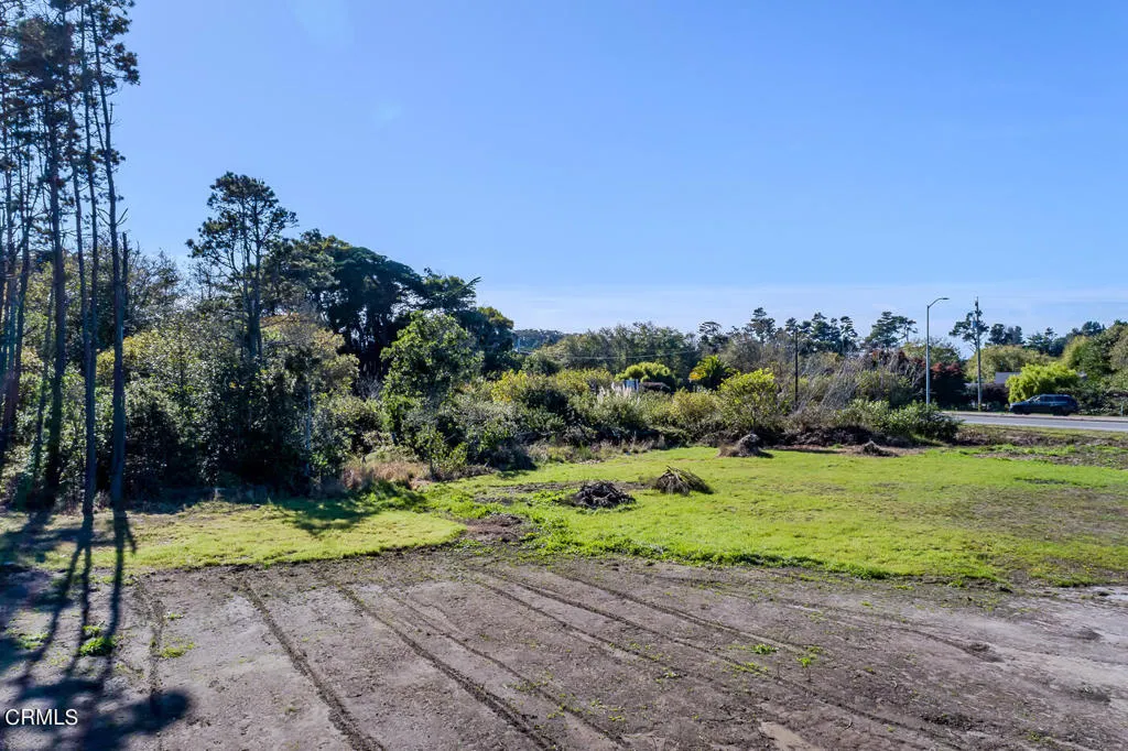 View To The South