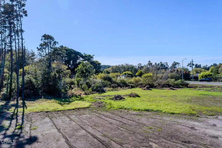 View To The South