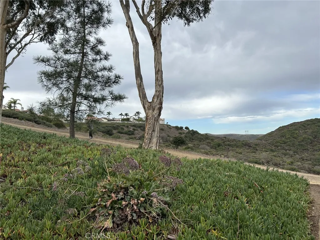 Walking trail