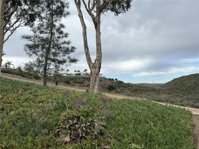 Walking trail