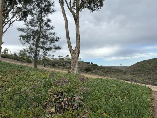 Walking trail