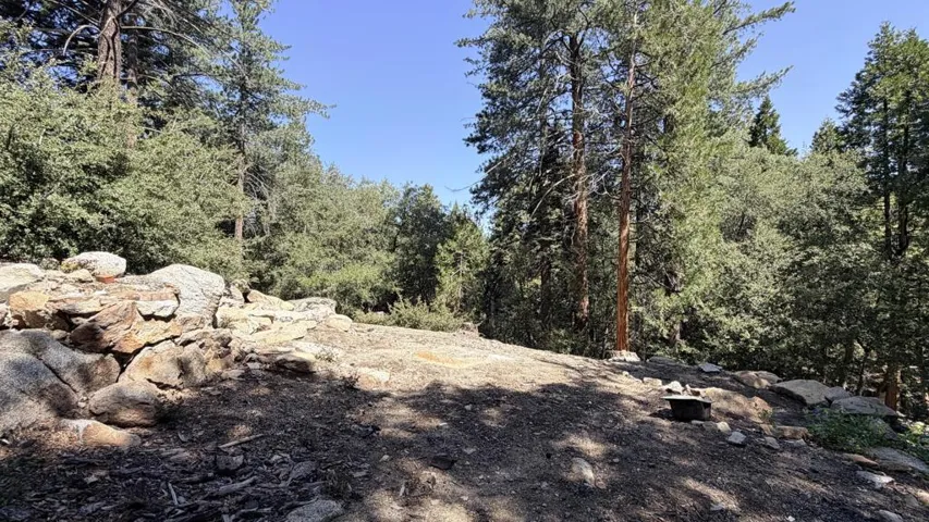 25235 Nestwa Trail, Idyllwild, California 92549 — photo 5