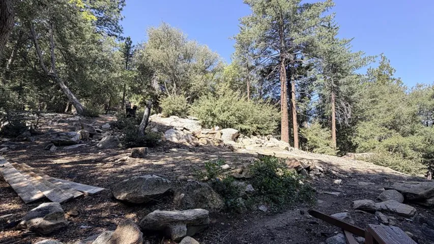 25235 Nestwa Trail, Idyllwild, California 92549 — photo 4