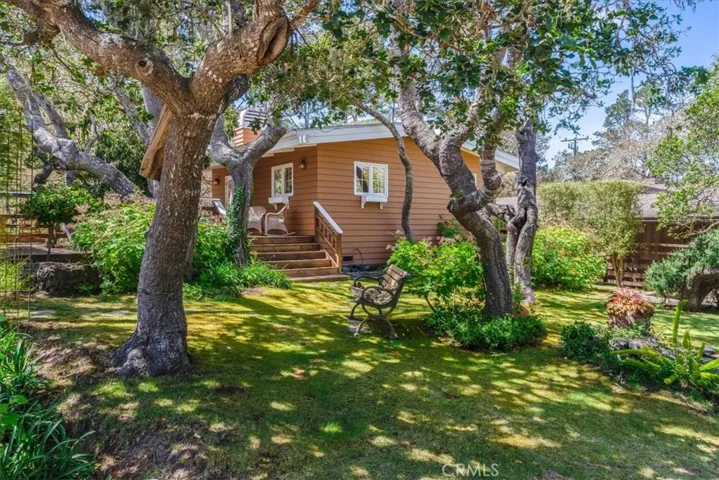 Park like setting Front Yard