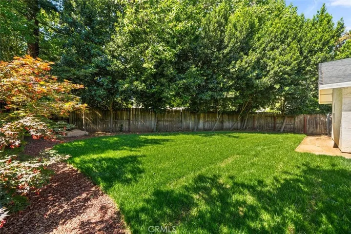Plenty of shade and privacy!