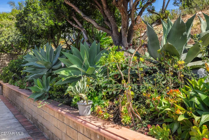 13954KeishaDr-VinceDingmanMedia-58