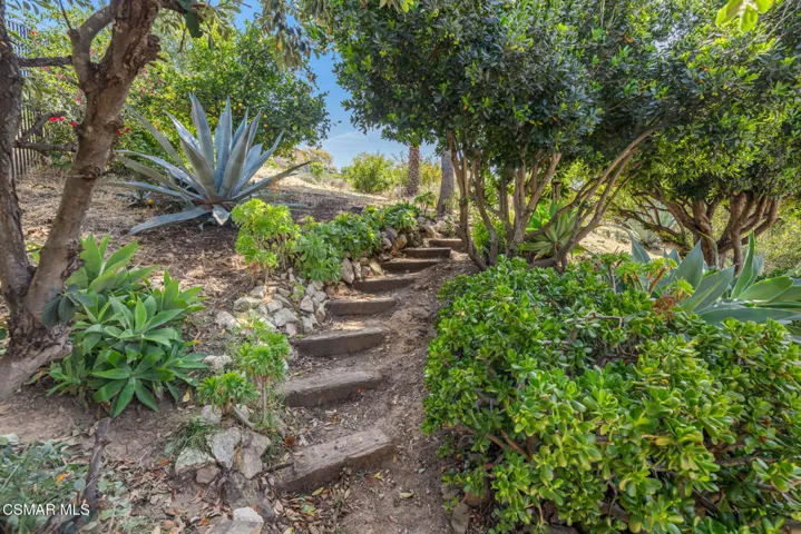 13954KeishaDr-VinceDingmanMedia-46