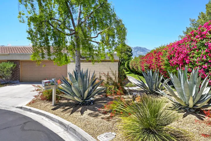 68633-calle-mancha-001